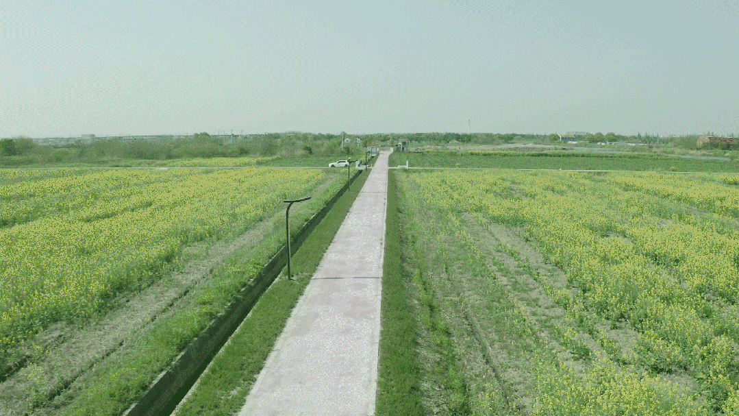 昆山之鏈,美麗鄉村,LED路燈,道路照明,上海三思