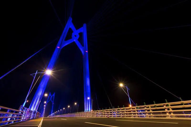 紐約時代廣場,進博會,這家,LED全球領(lǐng)軍,民營企業(yè),贏的奧秘